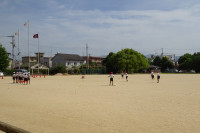 DSC04264