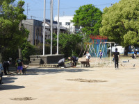 DSCN3280