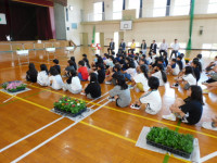 DSCN6104