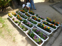 DSCN6127