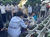 image_50745601