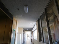 DSCN5943