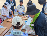 PXL_20250806_013220911