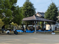 PXL_20260829_221829480